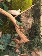 Cadre végétal stabilisé à LED mur végétal zen avec bois flotté, mousse naturelle et feuillages
