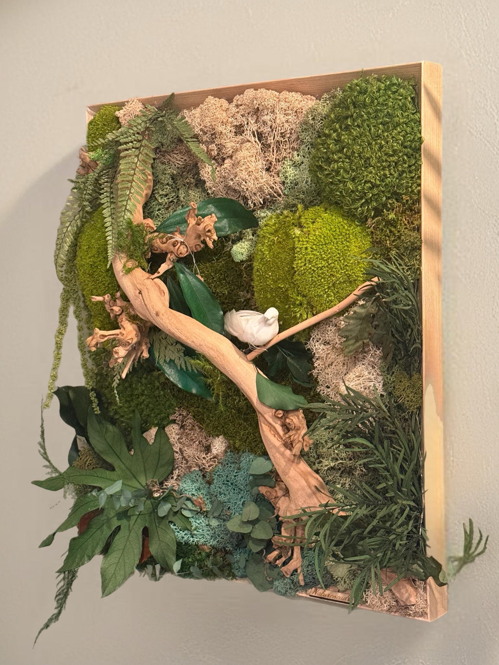 Cadre végétal stabilisé à LED mur végétal zen avec bois flotté, mousse naturelle et feuillages