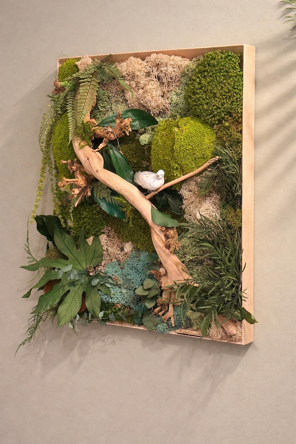 Cadre végétal stabilisé à LED mur végétal zen avec bois flotté, mousse naturelle et feuillages