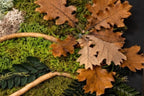 Cadre végétal stabilisé Tableau végétal naturel forêt & feuilles de chêne  Décoration murale végétale sans entretien
