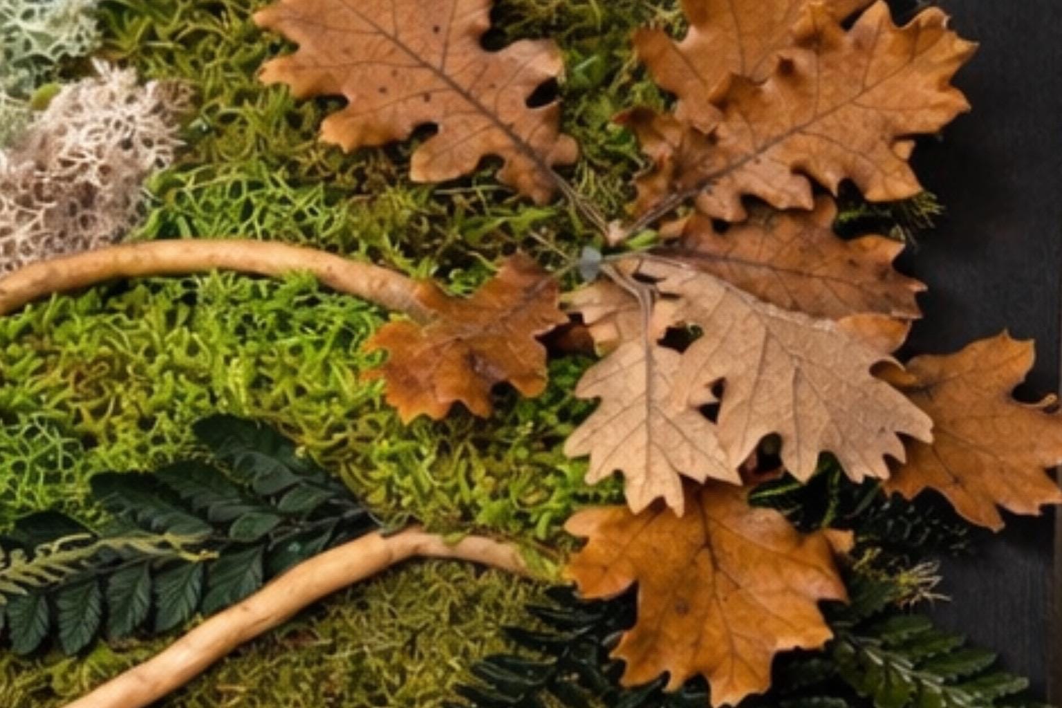 Cadre végétal stabilisé Tableau végétal naturel forêt & feuilles de chêne  Décoration murale végétale sans entretien