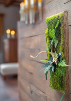 Cadre végétal stabilisé vertical Mousse naturelle et bois flotté  Cadre en écorce  Décoration murale nature