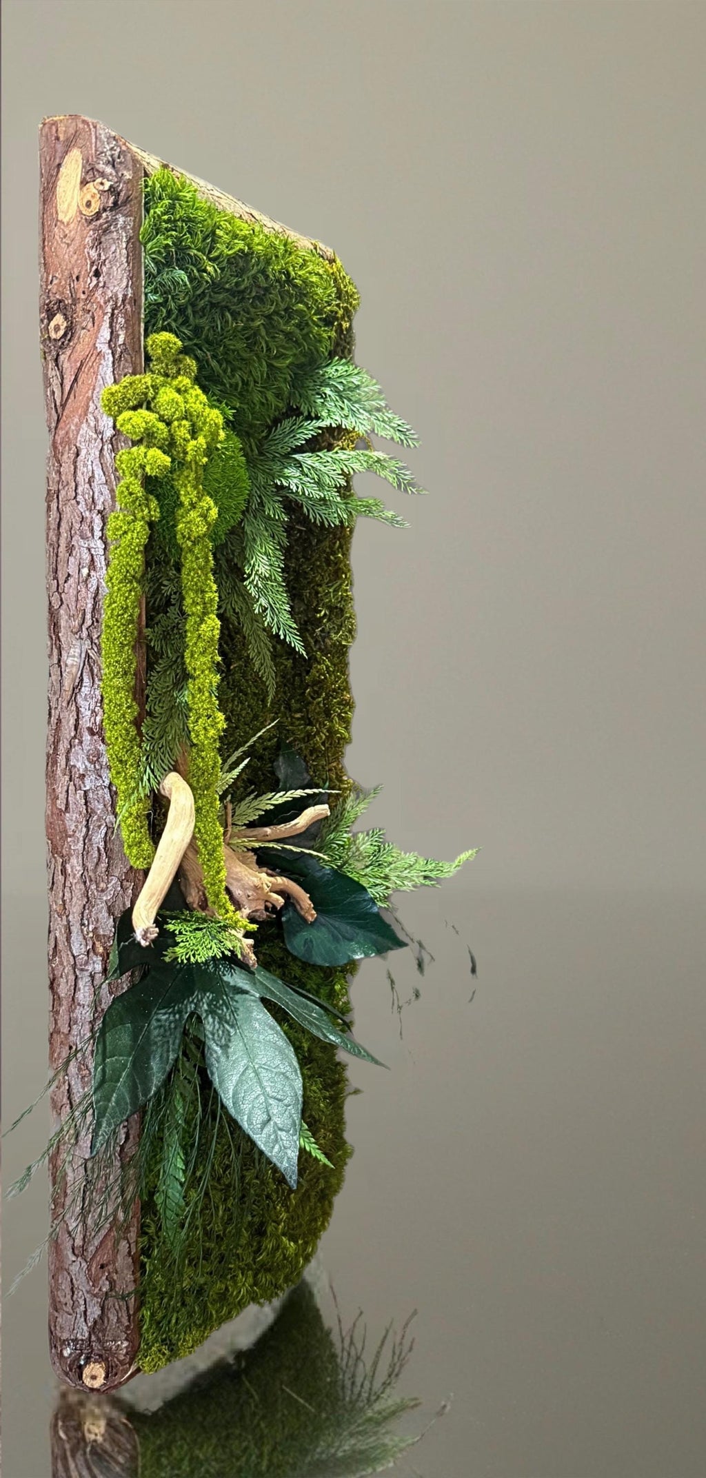 Cadre végétal stabilisé vertical Mousse naturelle et bois flotté  Cadre en écorce  Décoration murale nature