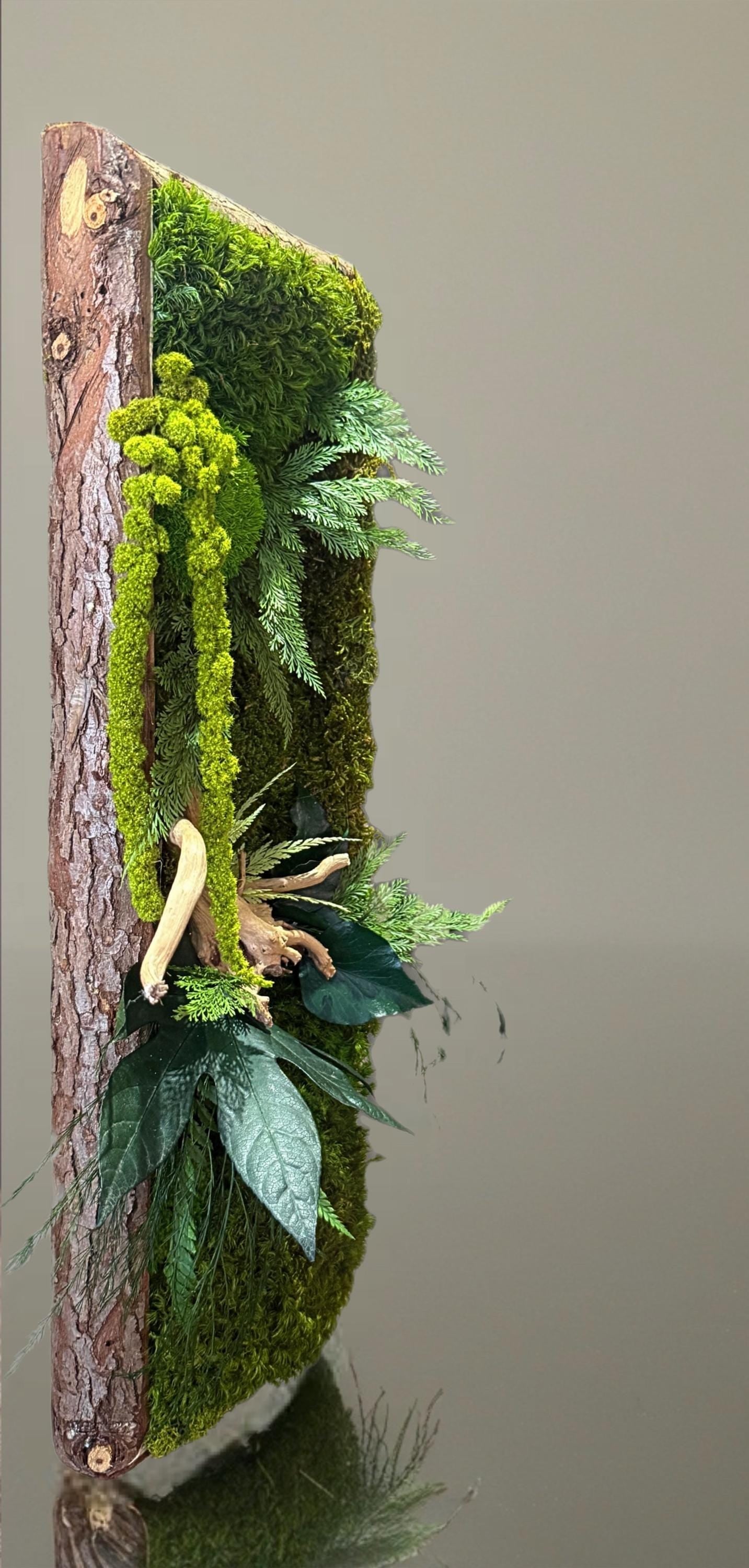 Cadre végétal stabilisé vertical Mousse naturelle et bois flotté  Cadre en écorce  Décoration murale nature