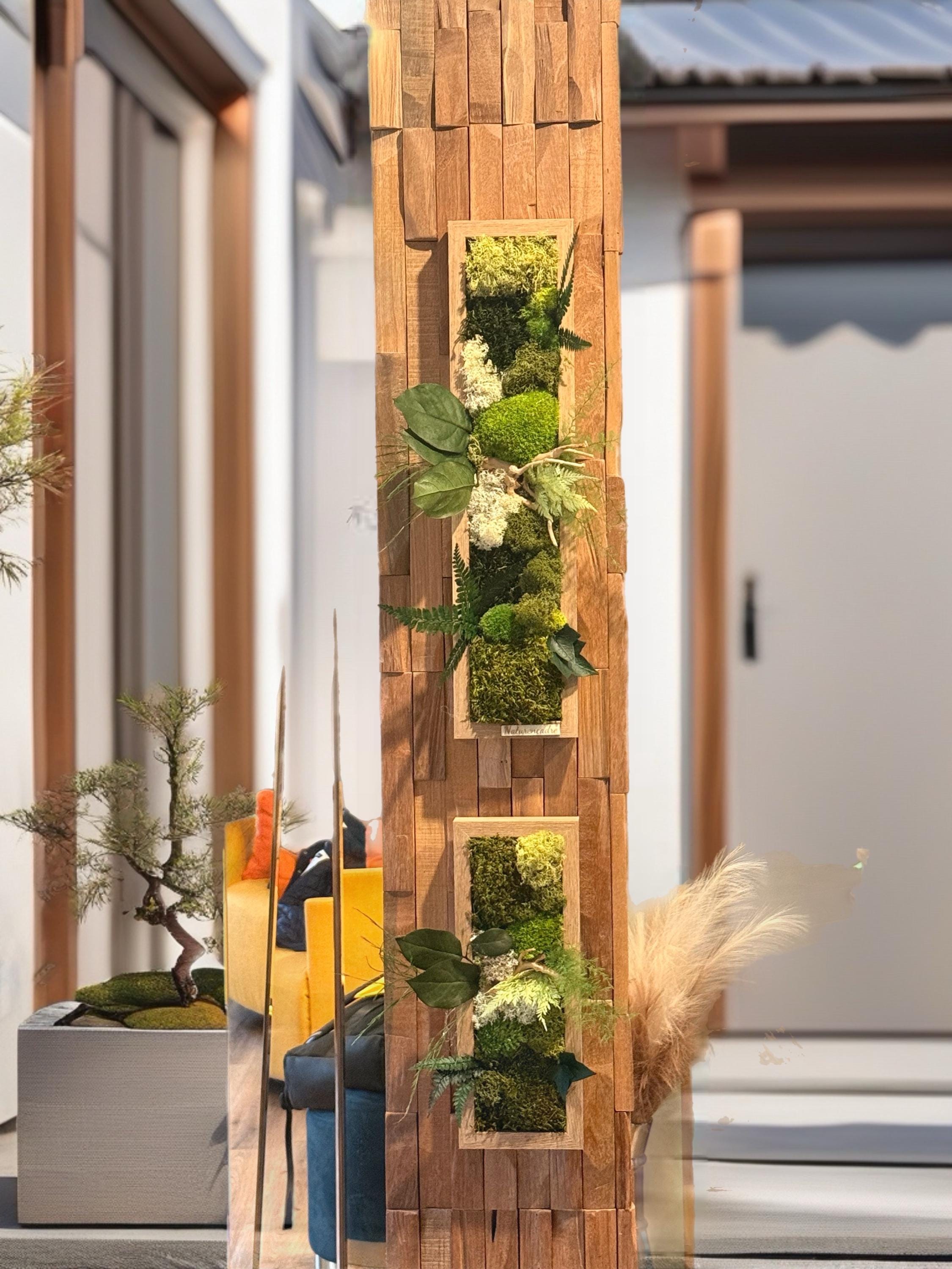 Cadre végétal étroit stabilisé mural Composition naturelle verticale en bois Déco zen design- Art végétal sans entretien