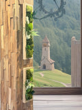 Cadre végétal étroit stabilisé mural Composition naturelle verticale en bois Déco zen design- Art végétal sans entretien