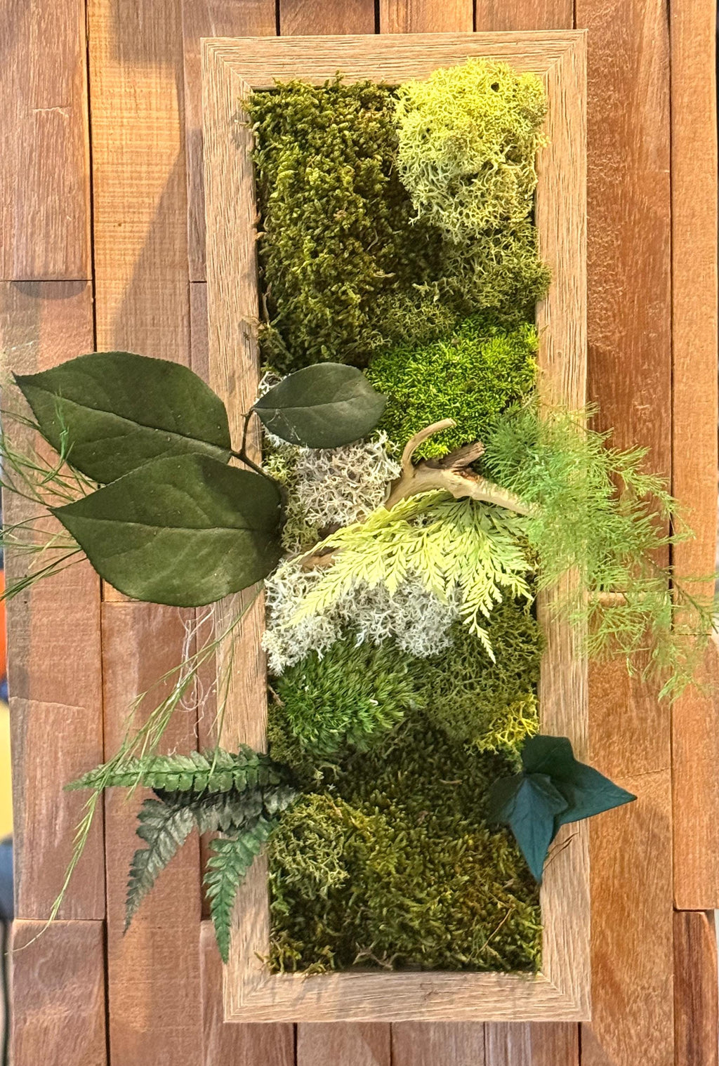 Cadre végétal étroit stabilisé mural Composition naturelle verticale en bois Déco zen design- Art végétal sans entretien