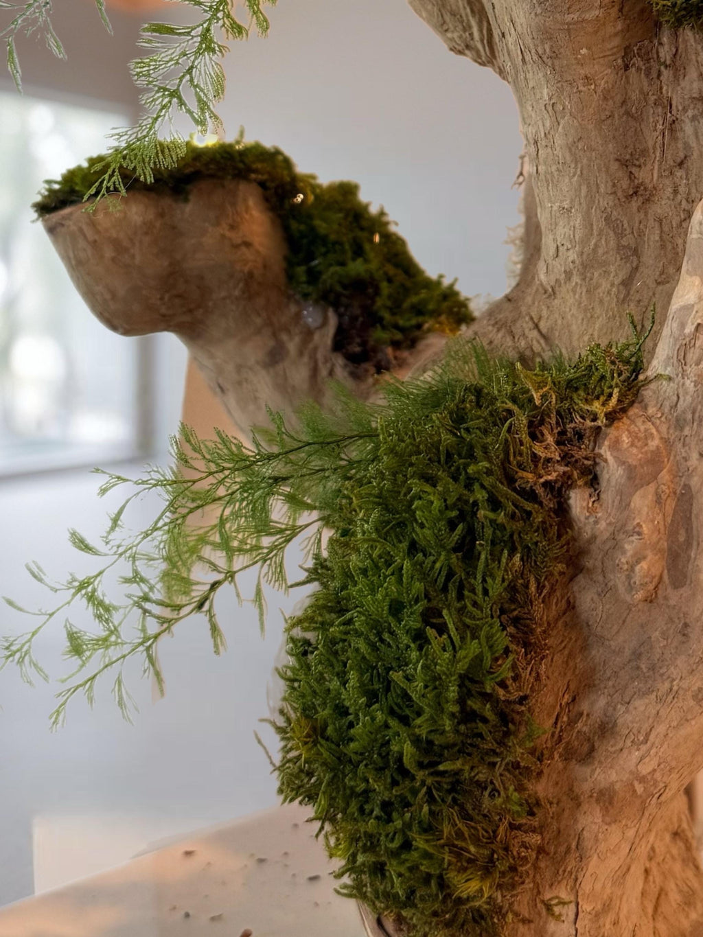 Bois flotté lumineux et mousse stabilisée  Sculpture végétale naturelle  Centre de table zen  Décoration nature sans entretien