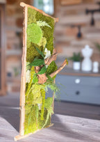 Cadre Végétal Stabilisé 30×68 cm – Bois Brut & Mousse | Déco Murale Zen Haut de Gamme
