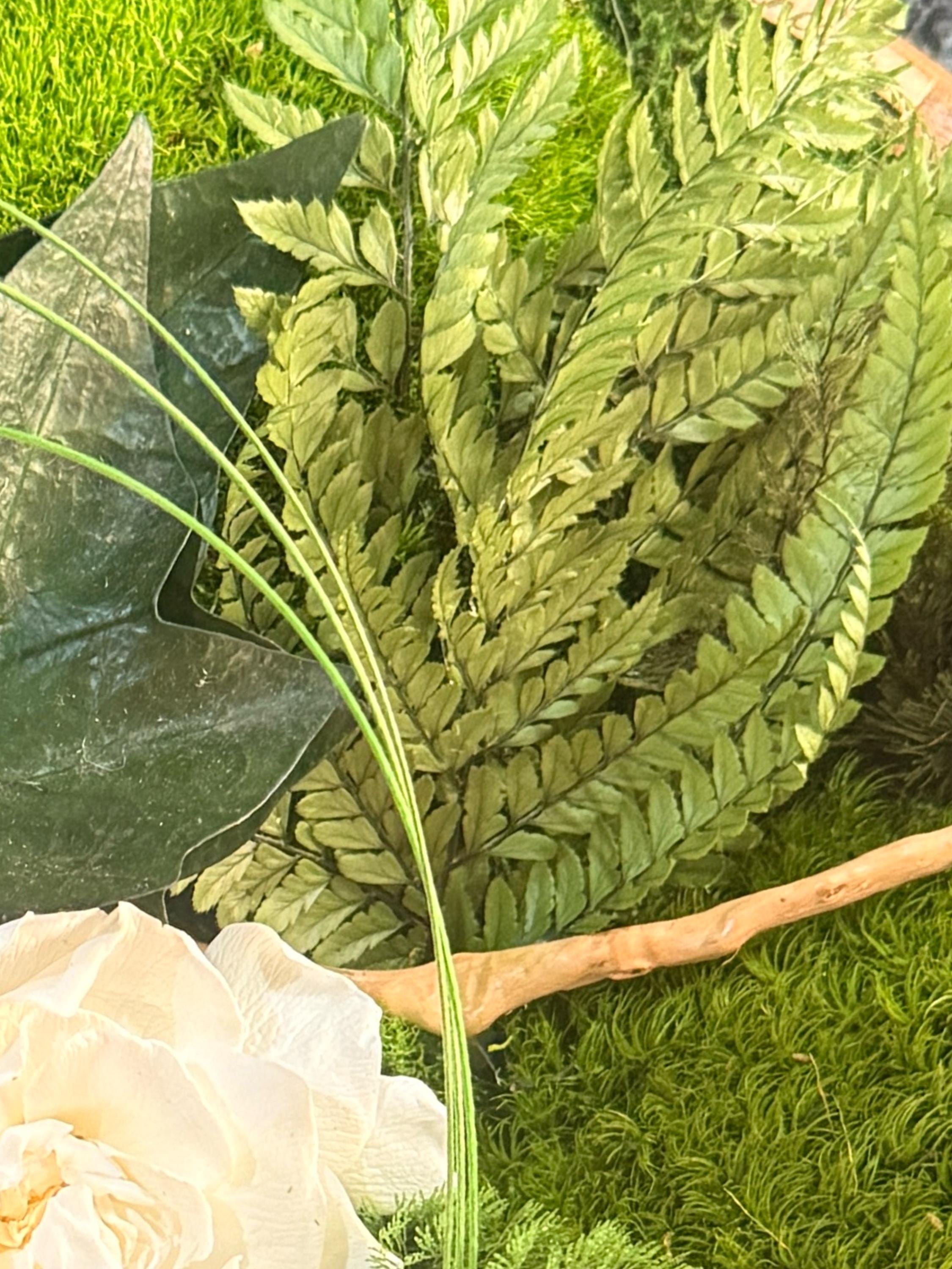 Centre de table végétal- Mousse naturelle, fleur blanche et feuillages stabilisés sur bois de manguier  Décoration mariage bohème chic