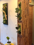 Cadre végétal étroit stabilisé mural Composition naturelle verticale en bois Déco zen design- Art végétal sans entretien