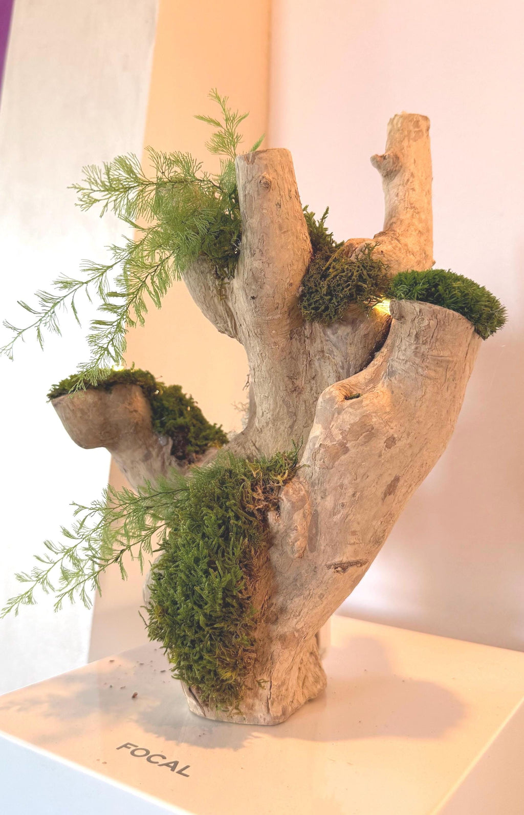 Bois flotté lumineux et mousse stabilisée  Sculpture végétale naturelle  Centre de table zen  Décoration nature sans entretien