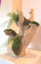 Bois flotté lumineux et mousse stabilisée  Sculpture végétale naturelle  Centre de table zen  Décoration nature sans entretien