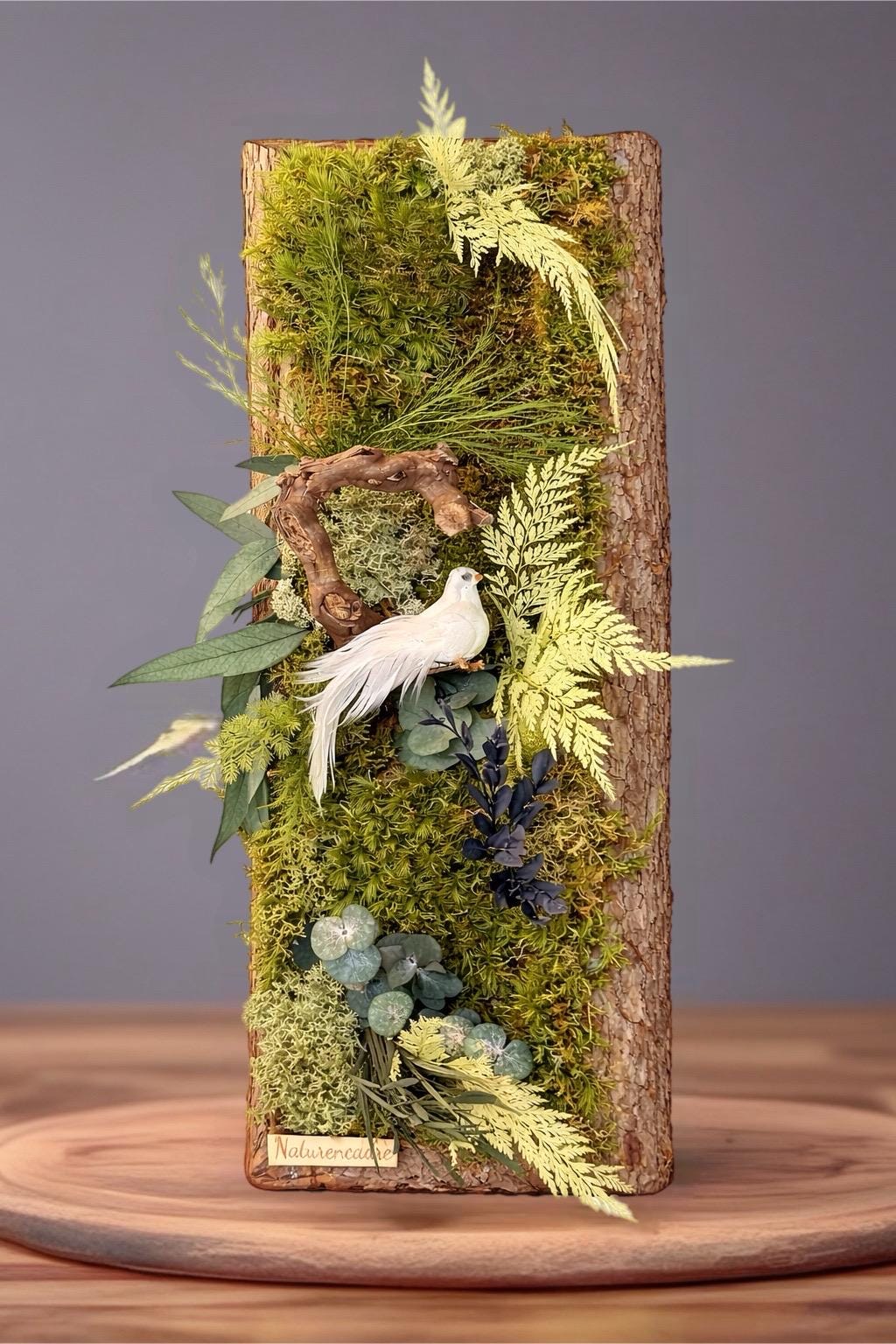 Cadre végétal stabilisé vertical en écorce naturelle  Tableau végétal mural avec mousse et feuillages  Décoration murale nature