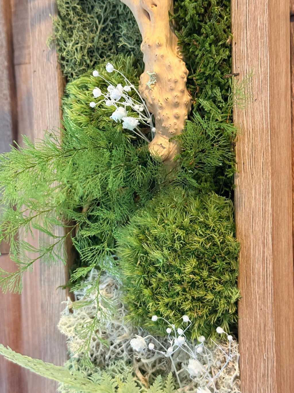 Cadre végétal étroit stabilisé vertical  Olivier & gypsophile  Décoration murale naturelle japandi  Sans entretien
