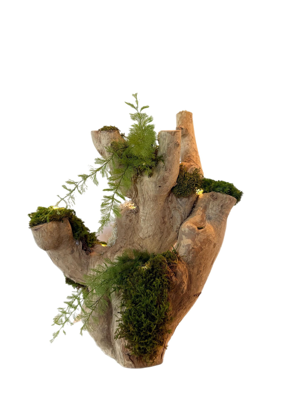 Bois flotté lumineux et mousse stabilisée  Sculpture végétale naturelle  Centre de table zen  Décoration nature sans entretien