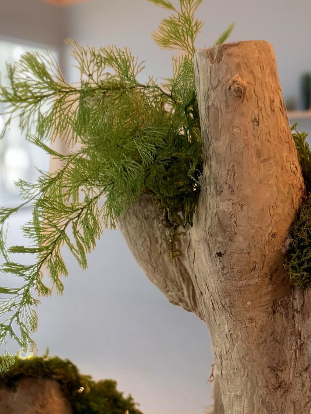 Bois flotté lumineux et mousse stabilisée  Sculpture végétale naturelle  Centre de table zen  Décoration nature sans entretien