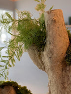 Bois flotté lumineux et mousse stabilisée  Sculpture végétale naturelle  Centre de table zen  Décoration nature sans entretien