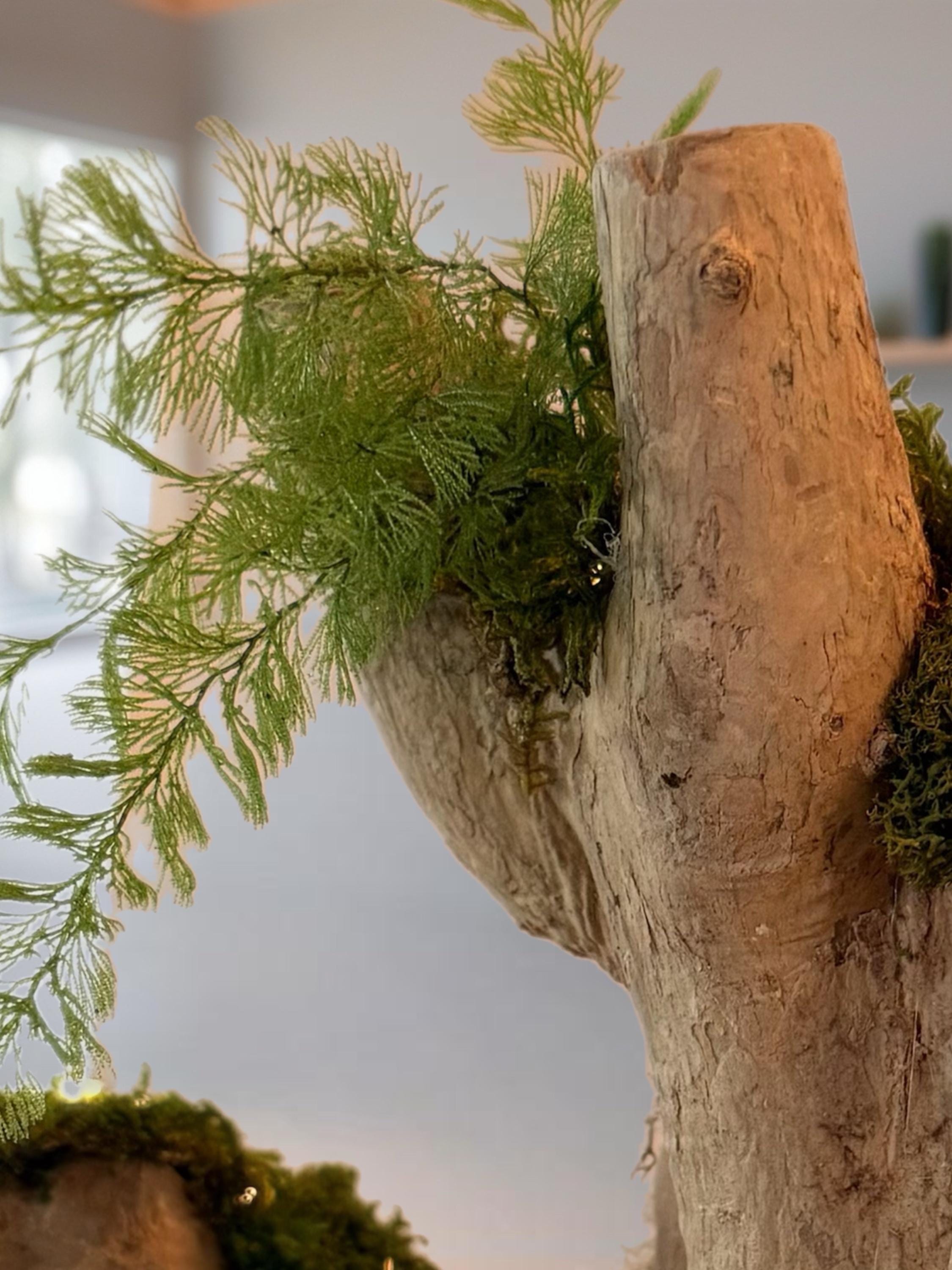 Bois flotté lumineux et mousse stabilisée  Sculpture végétale naturelle  Centre de table zen  Décoration nature sans entretien