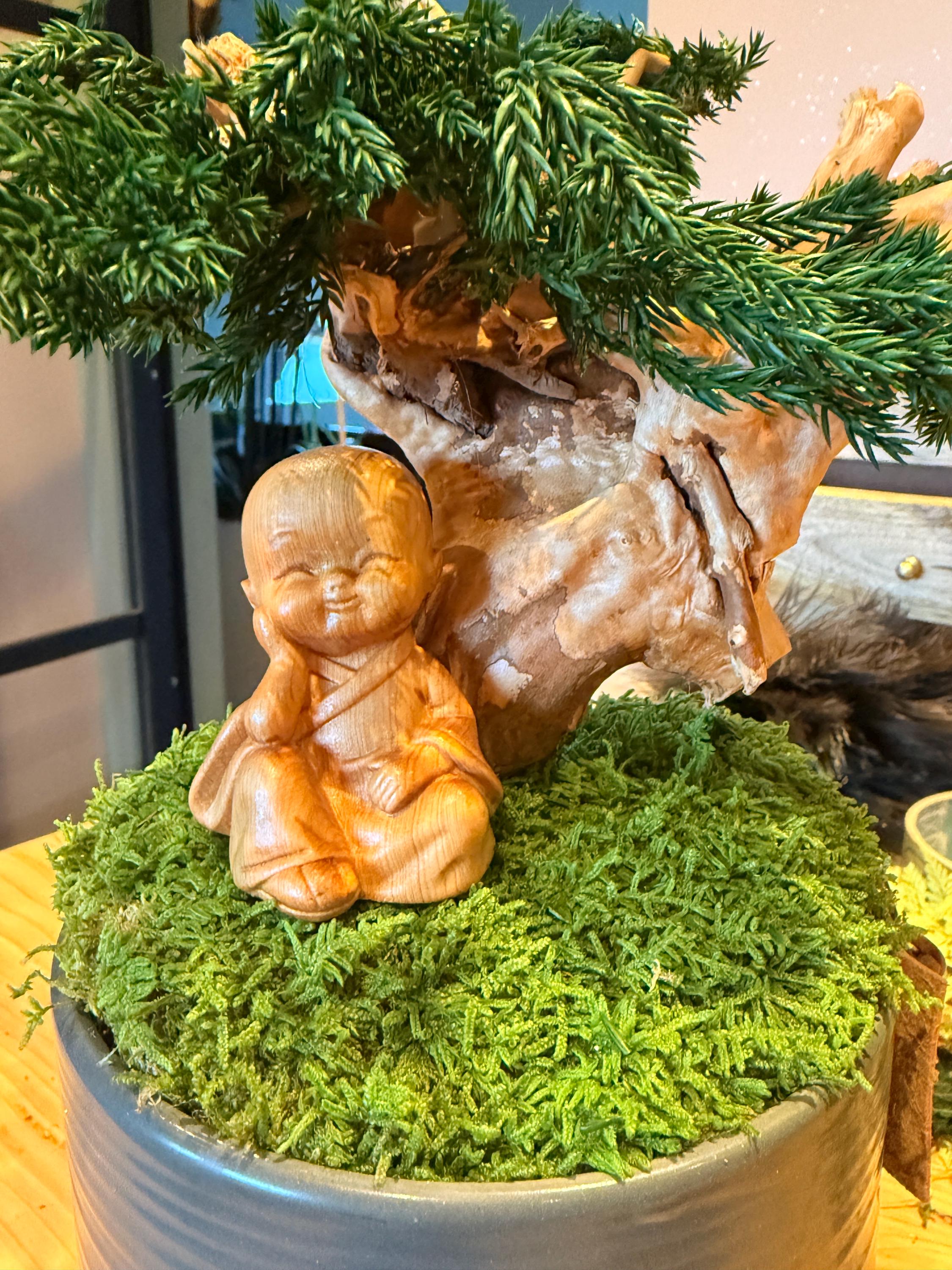 Sculpture végétale stabilisée style bonsaï  Décoration zen haut de gamme  Bois naturel et genévrier  43 cm