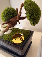 Bonsaï stabilisé miniature japonais  Décoration zen naturelle  Mini arbre végétal éternel  Art végétal fait main  Cadeau déco apaisant