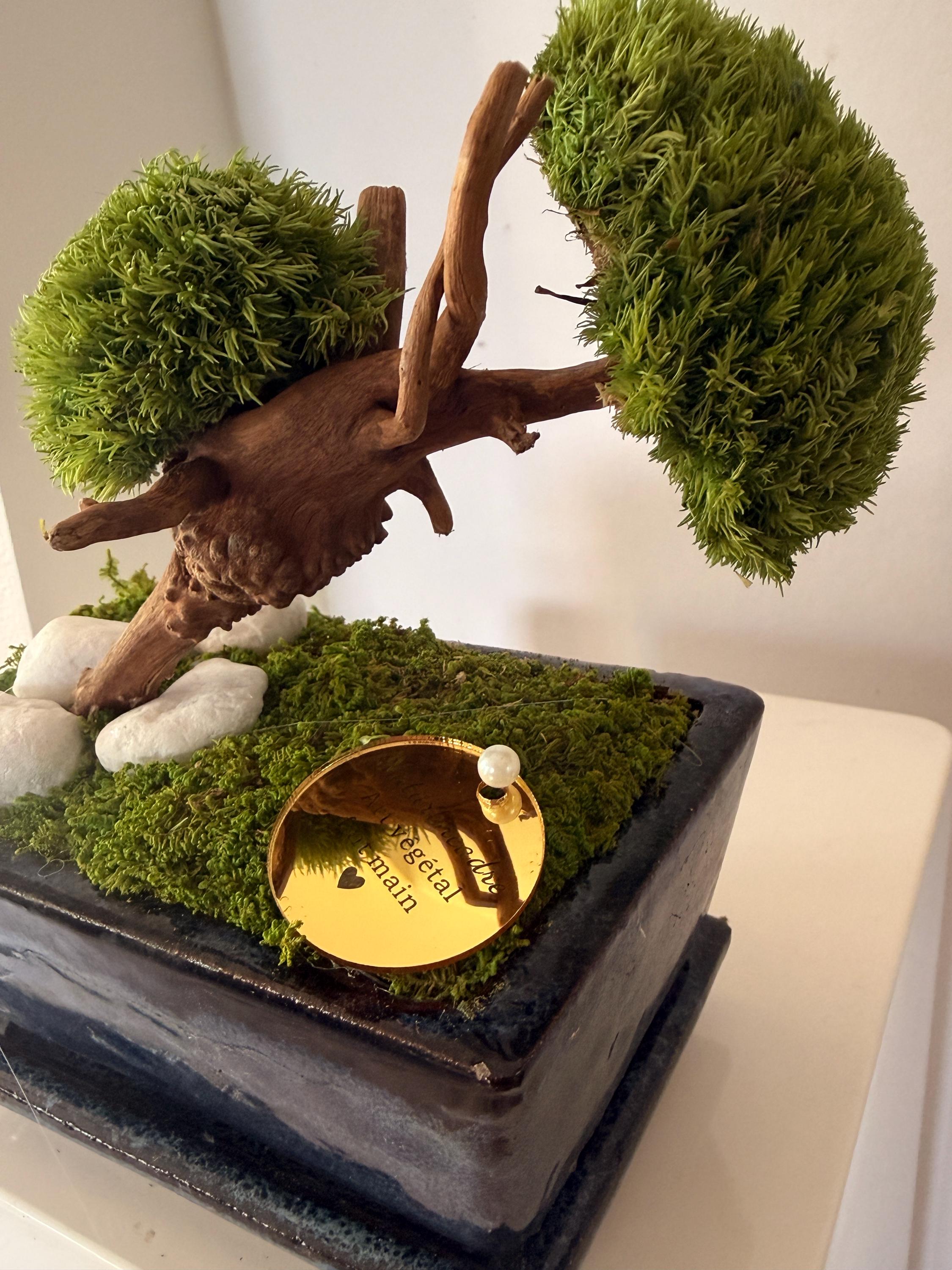 Bonsaï stabilisé miniature japonais  Décoration zen naturelle  Mini arbre végétal éternel  Art végétal fait main  Cadeau déco apaisant
