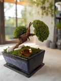 Bonsaï stabilisé miniature japonais  Décoration zen naturelle  Mini arbre végétal éternel  Art végétal fait main  Cadeau déco apaisant