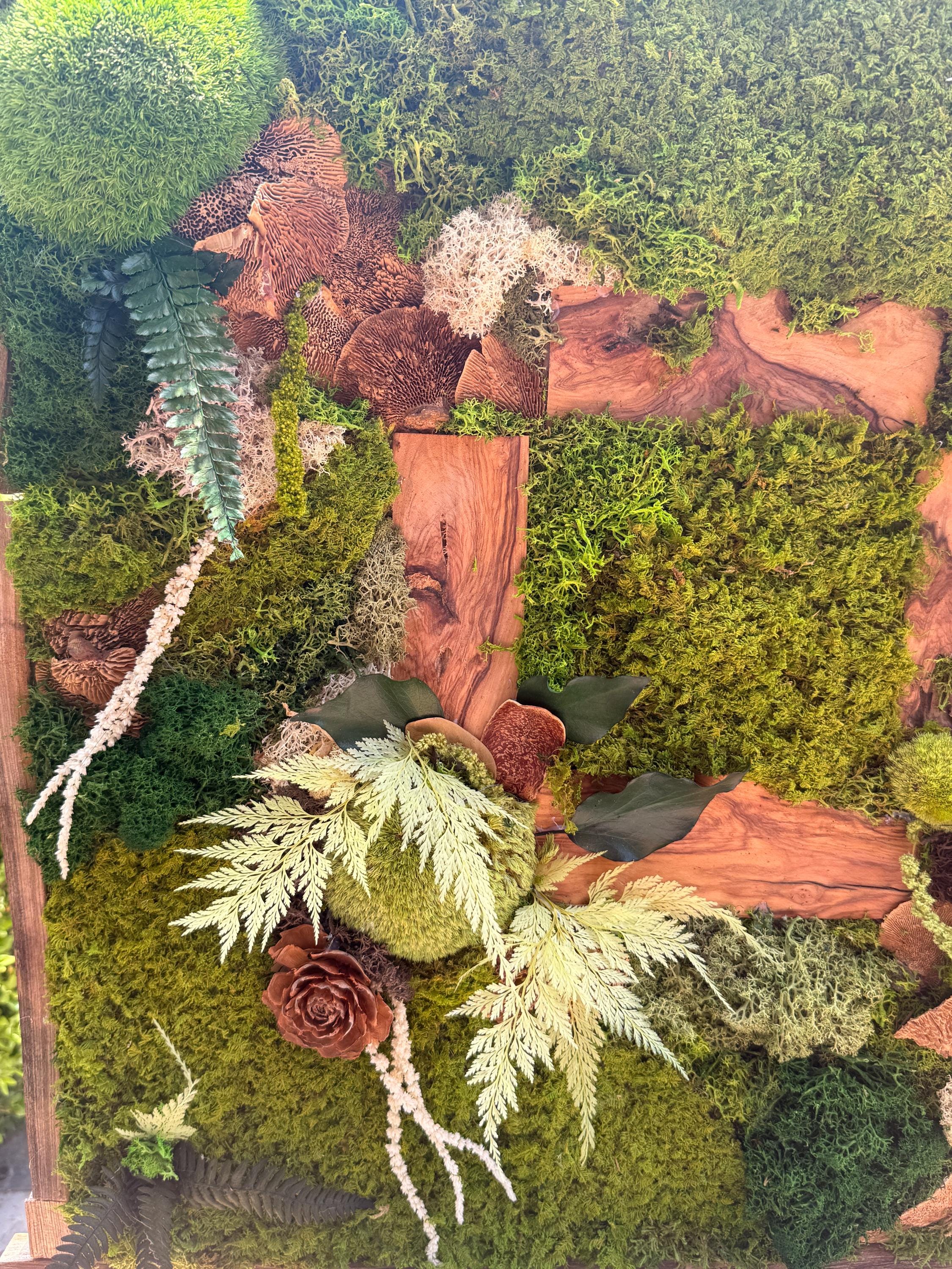 Cadre végétal stabilisé artisanal  Tableau végétal forêt enchantée  Décoration murale nature luxe en bois brut