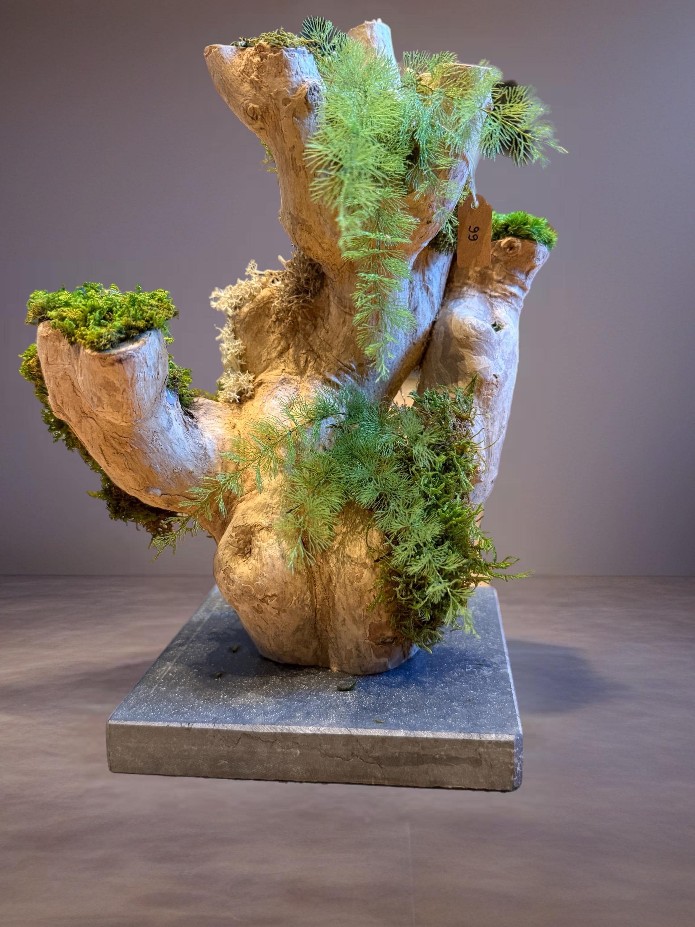 Bois flotté lumineux et mousse stabilisée  Sculpture végétale naturelle  Centre de table zen  Décoration nature sans entretien