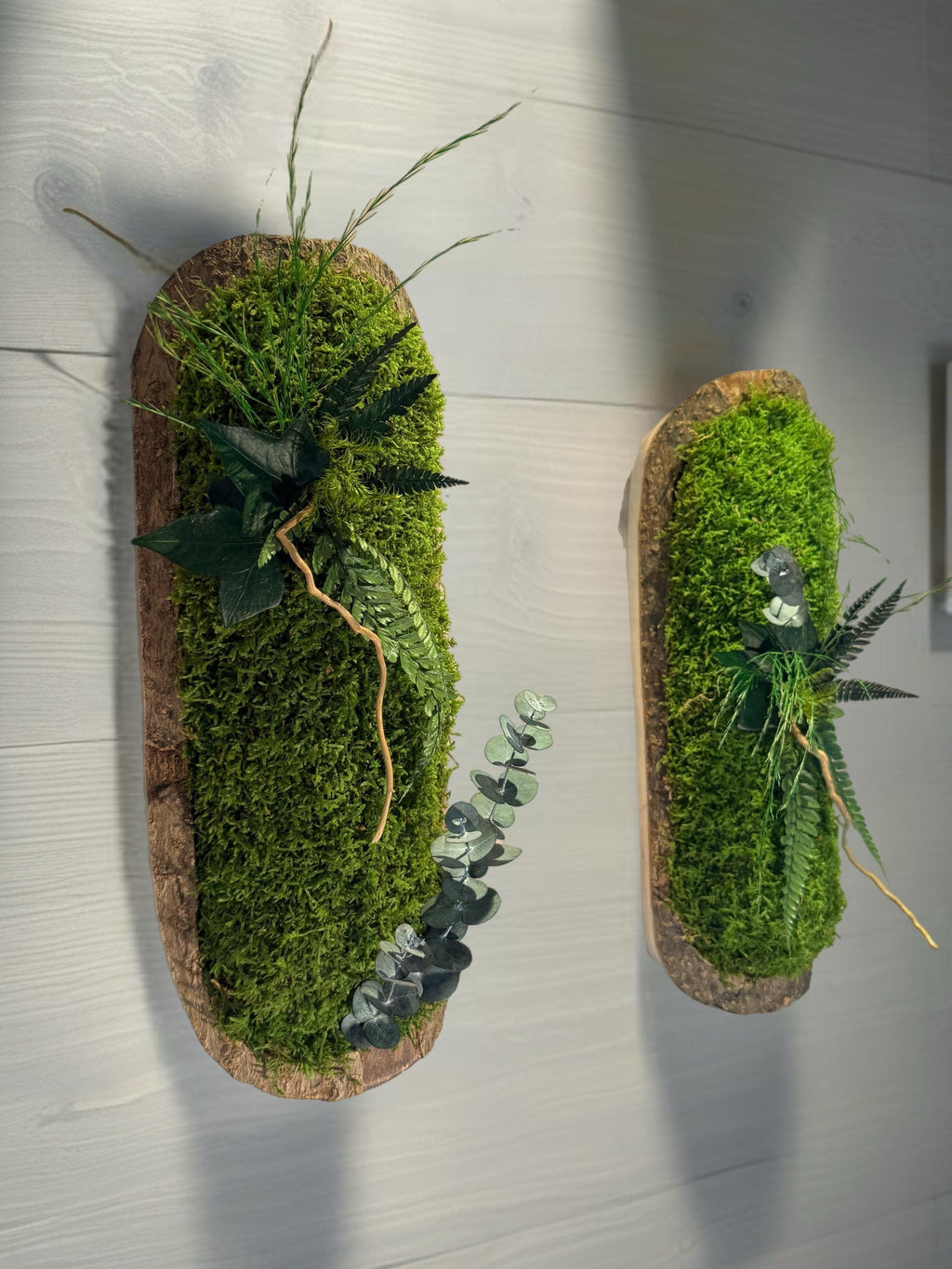 Duo de Cadres Végétaux Stabilisés sur Écorce Naturelle  36 x 14 cm  décoration murale naturelle