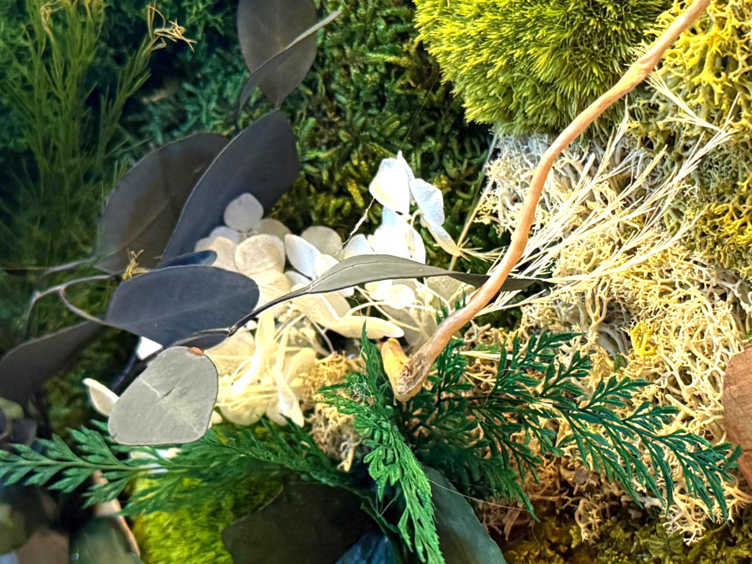 Cadre végétal mousse stabilisée, hortensia et eucalyptus  Décoration murale naturelle et élégante