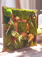 Cadre végétal stabilisé artisanal  Tableau végétal forêt enchantée  Décoration murale nature luxe en bois brut