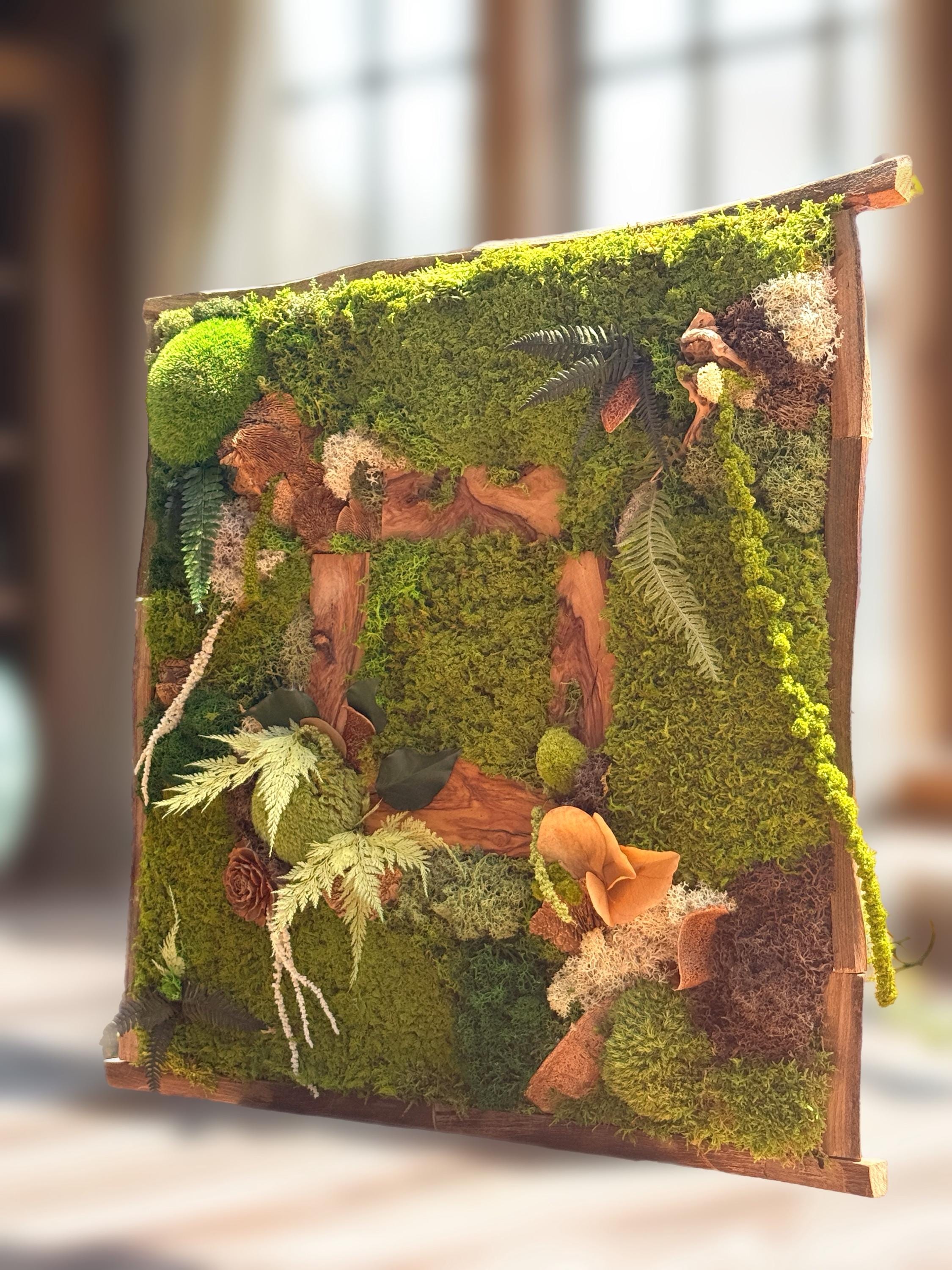 Cadre végétal stabilisé artisanal  Tableau végétal forêt enchantée  Décoration murale nature luxe en bois brut