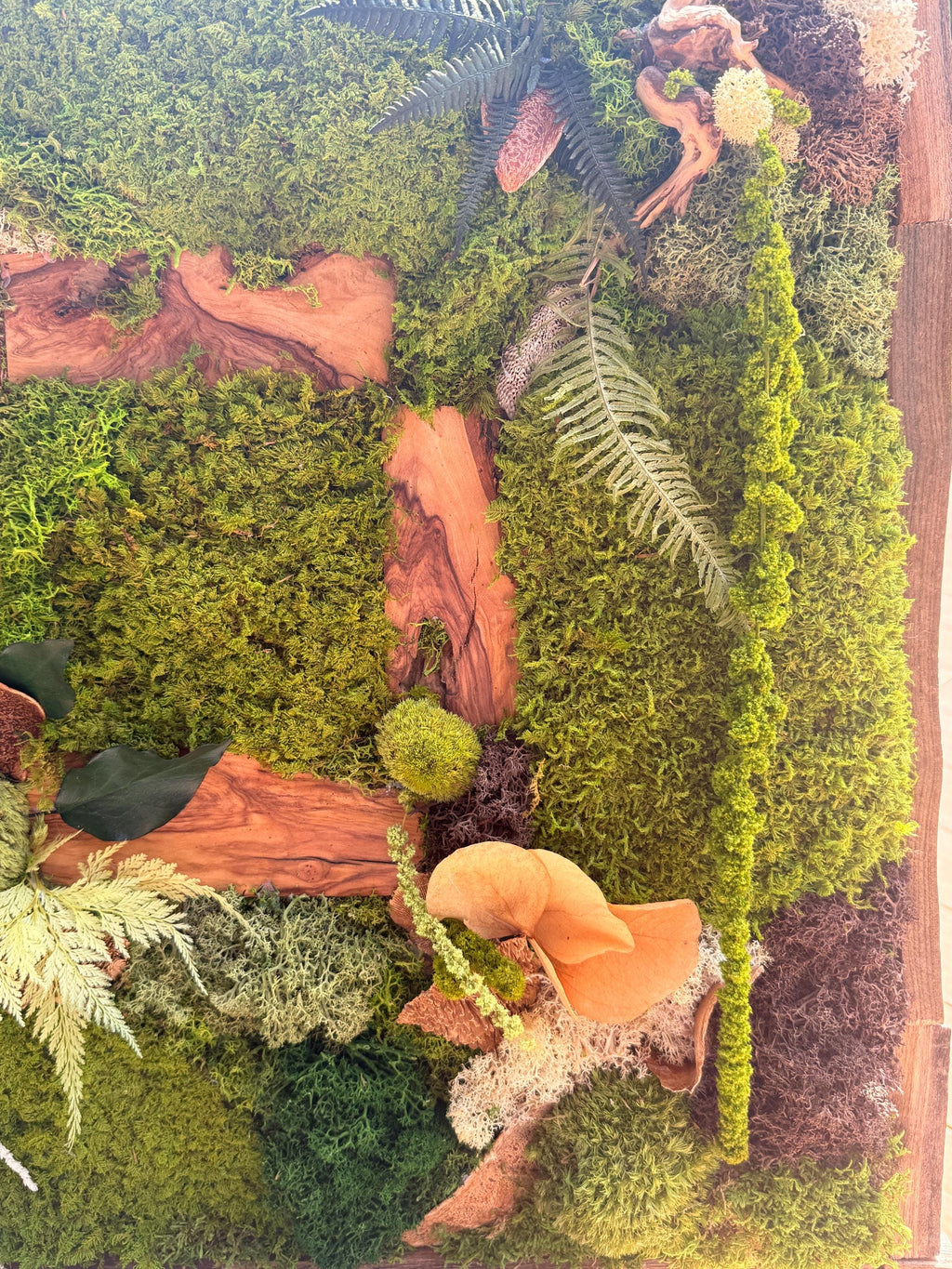 Cadre végétal stabilisé artisanal  Tableau végétal forêt enchantée  Décoration murale nature luxe en bois brut