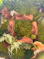 Cadre végétal stabilisé artisanal  Tableau végétal forêt enchantée  Décoration murale nature luxe en bois brut
