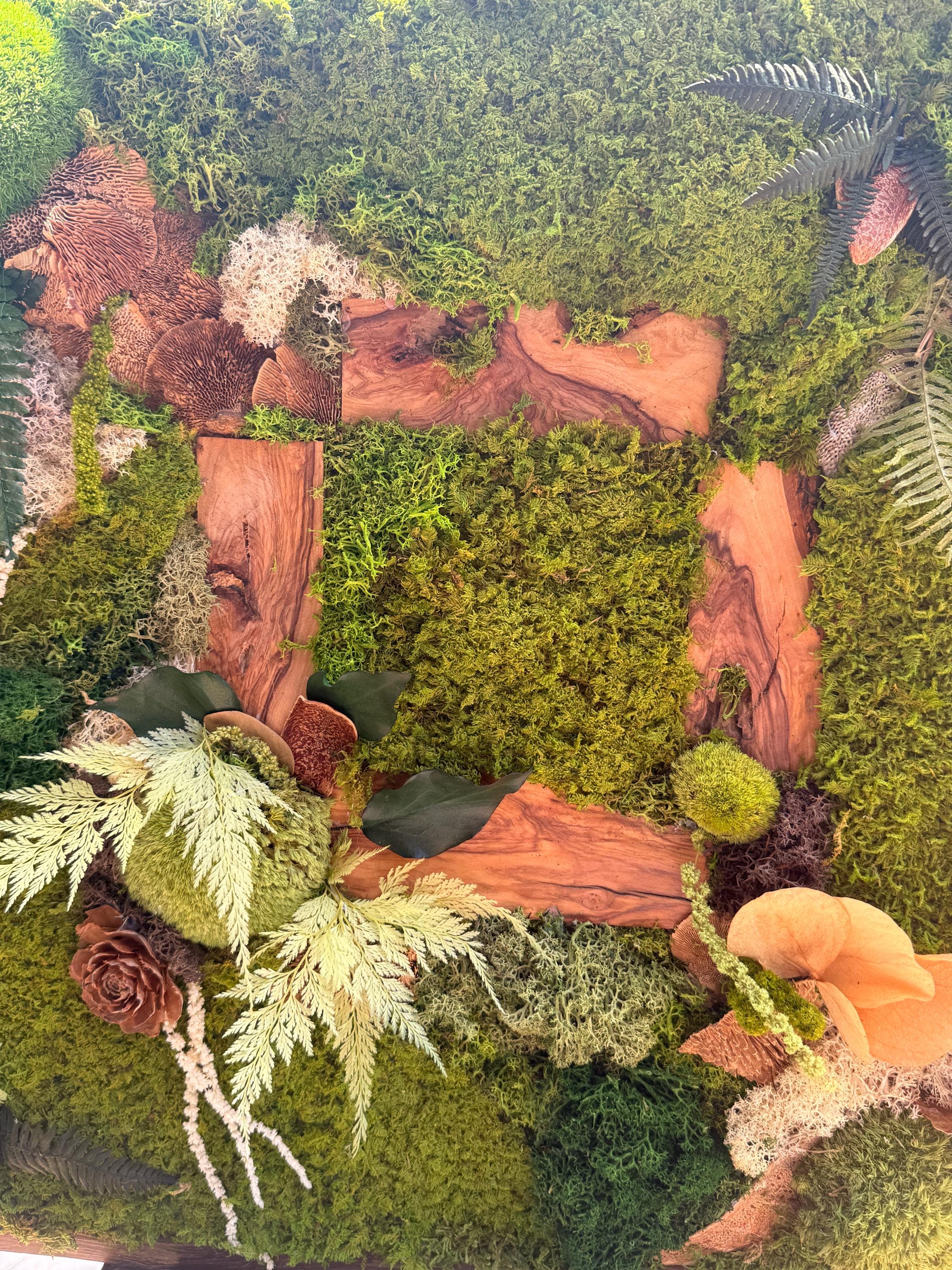 Cadre végétal stabilisé artisanal  Tableau végétal forêt enchantée  Décoration murale nature luxe en bois brut