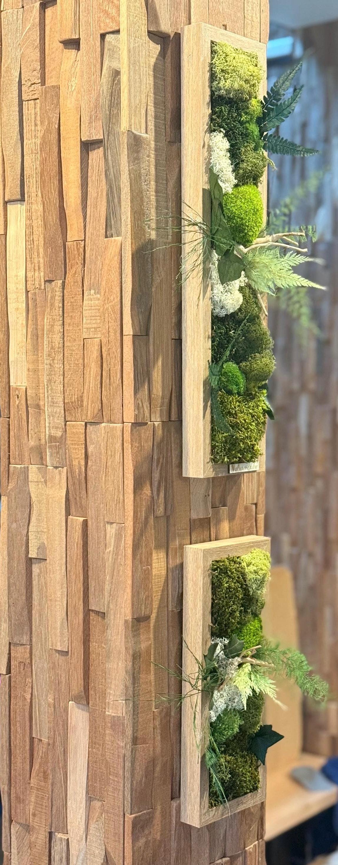 Cadre végétal étroit stabilisé mural Composition naturelle verticale en bois Déco zen design- Art végétal sans entretien