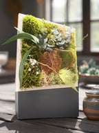 Cadre Végétal Stabilisé « Éveil de la Forêt » – Eucalyptus, Gypsophile & Mousse | 22×22 cm