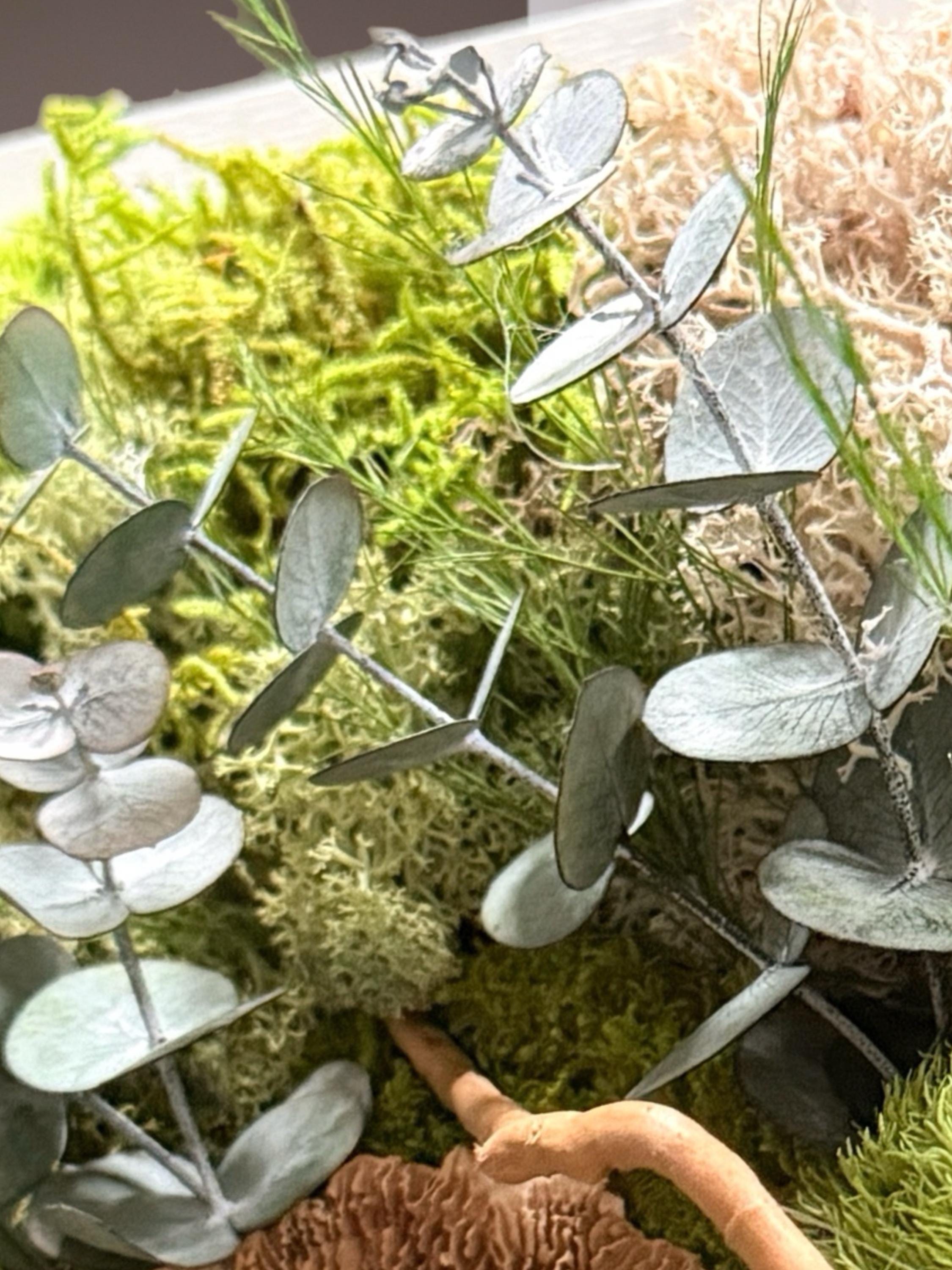 Cadre Végétal Stabilisé « Éveil de la Forêt » – Eucalyptus, Gypsophile & Mousse | 22×22 cm