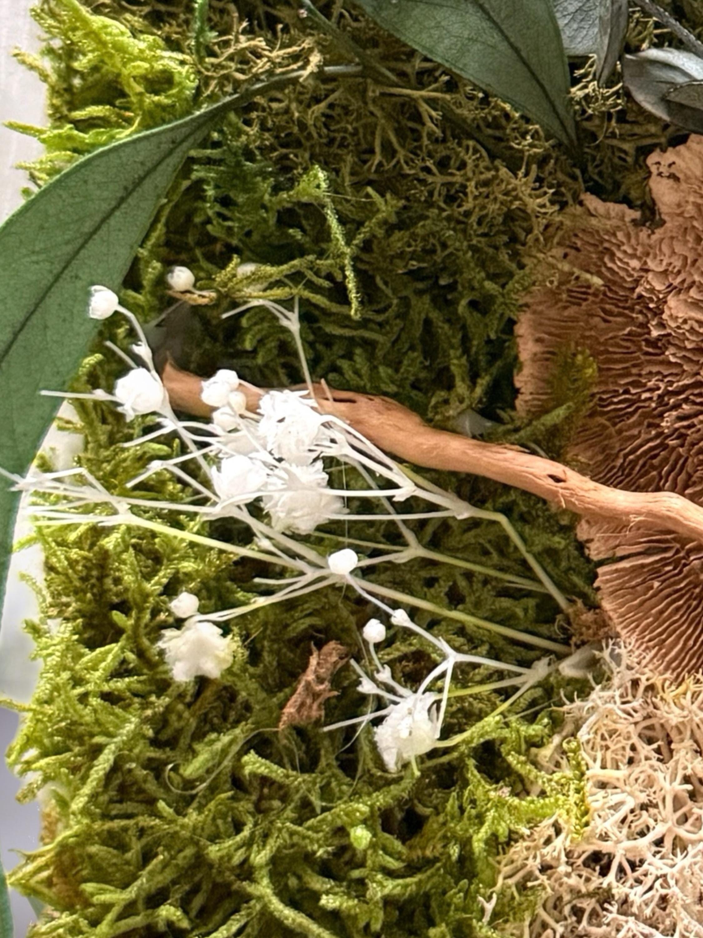 Cadre Végétal Stabilisé « Éveil de la Forêt » – Eucalyptus, Gypsophile & Mousse | 22×22 cm