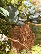 Cadre Végétal Stabilisé « Éveil de la Forêt » – Eucalyptus, Gypsophile & Mousse | 22×22 cm