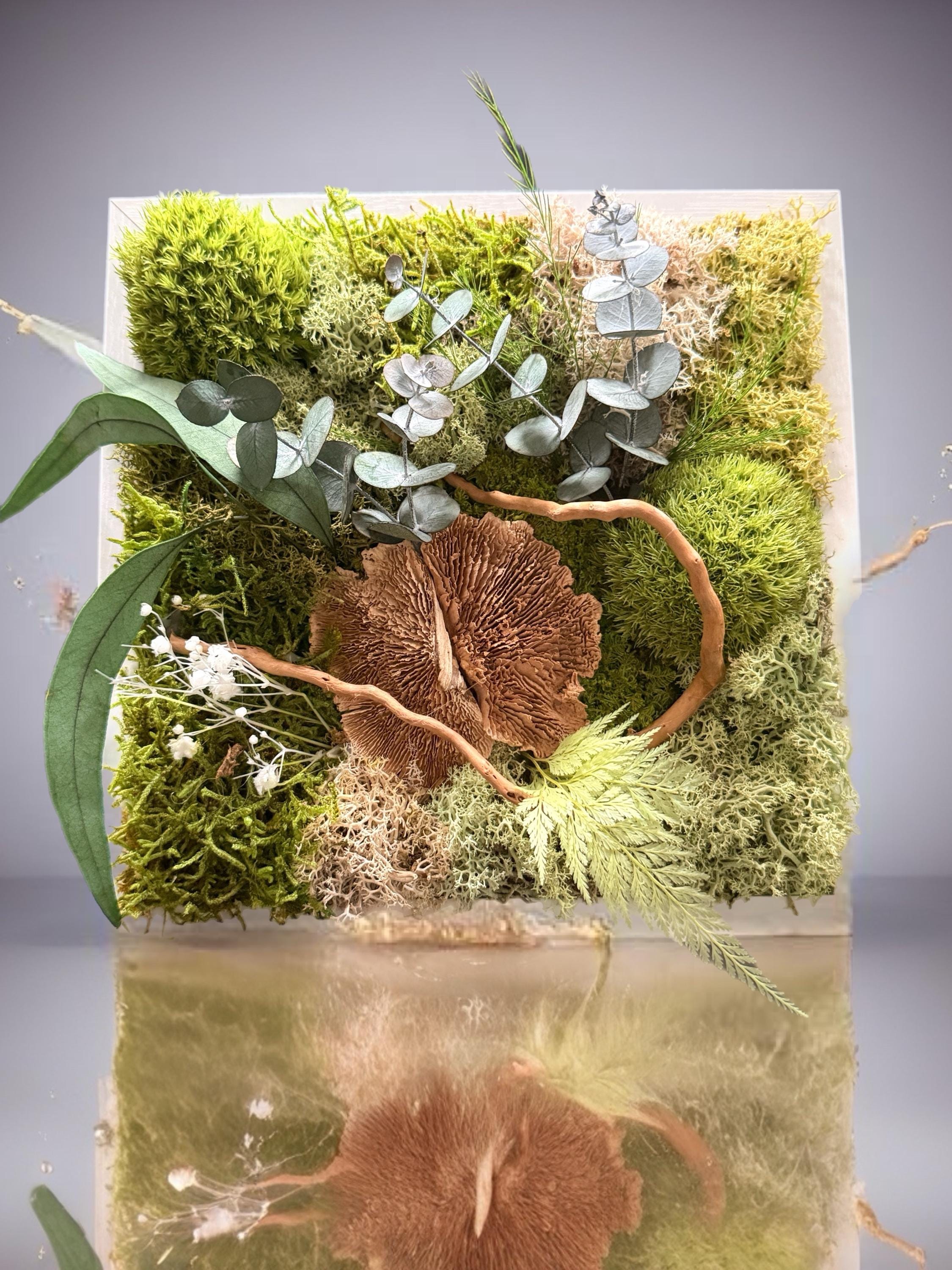 Cadre Végétal Stabilisé « Éveil de la Forêt » – Eucalyptus, Gypsophile & Mousse | 22×22 cm