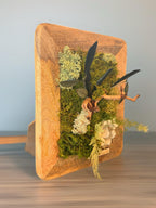 Cadre Végétal Stabilisé Bois de Manguier – Olivier, Gypsophile & Mousse | 30×20 cm
