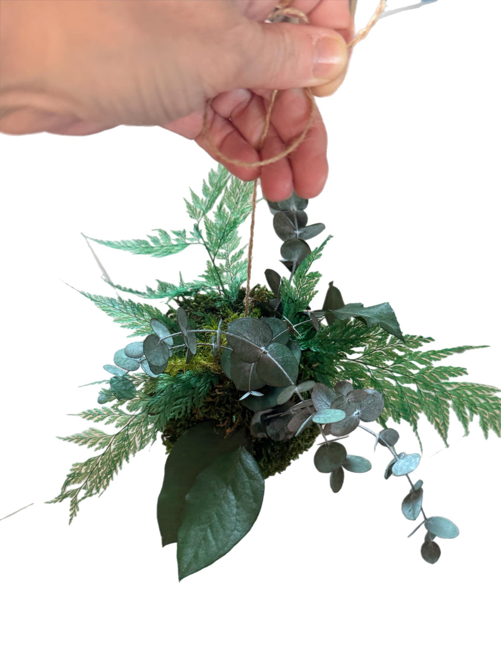 Kokedama Stabilisé Eucalyptus & Fougère – À Poser ou Suspendre | Déco Végétale Zen Sans Entretien