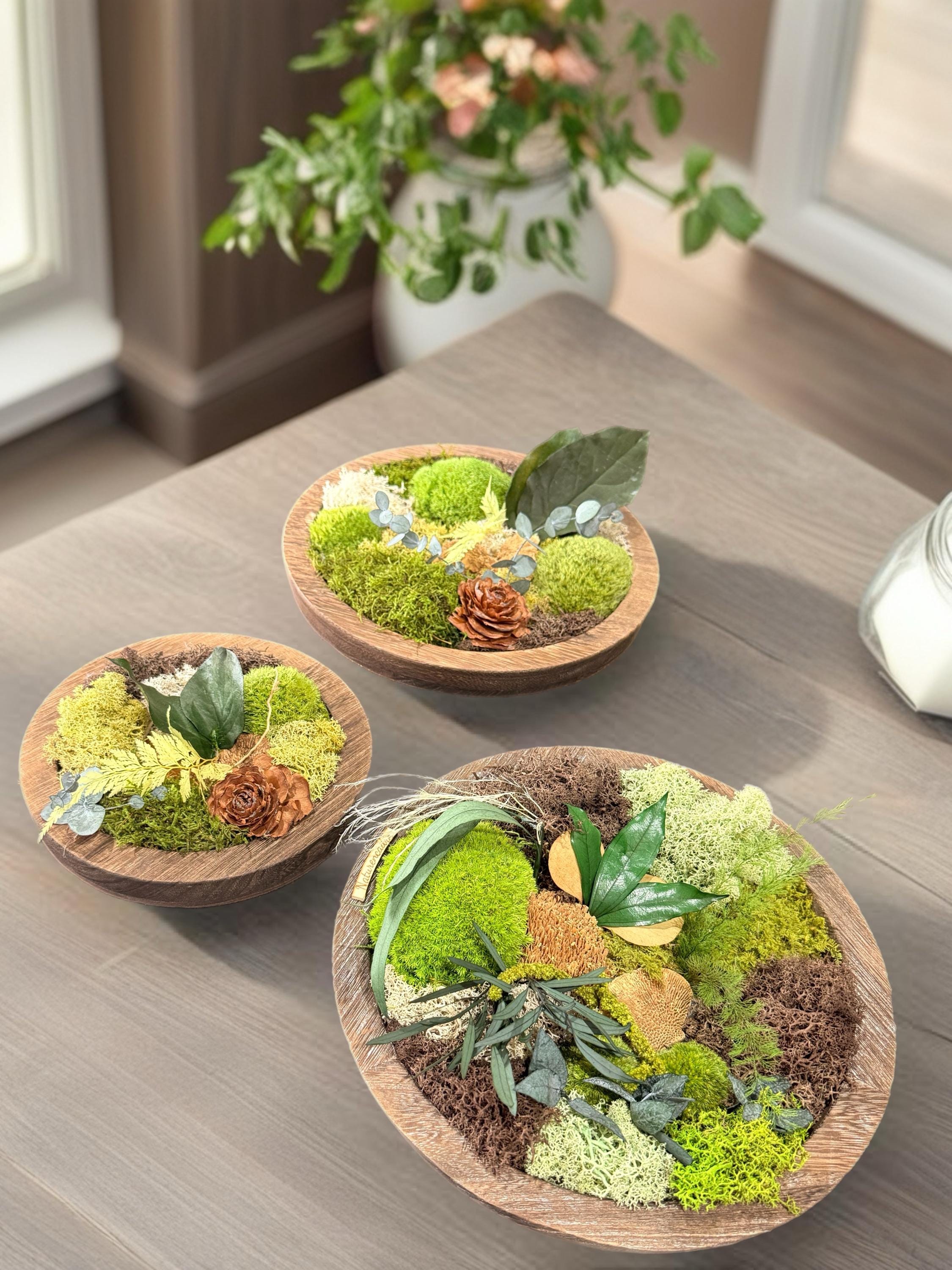 Triptique cadres végétaux stabilisés rond  Bois naturel | Décoration murale artisanale unique