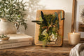 Cadre Végétal Stabilisé Bois de Manguier – Olivier, Gypsophile & Mousse | 30×20 cm