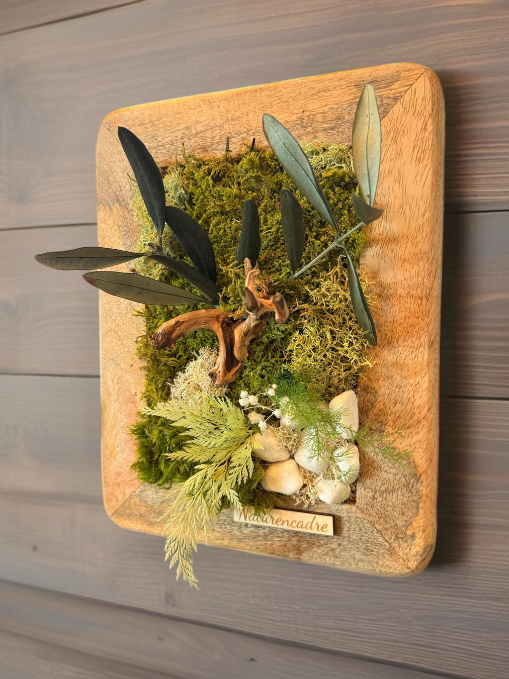 Cadre Végétal Stabilisé Bois de Manguier – Olivier, Gypsophile & Mousse | 30×20 cm