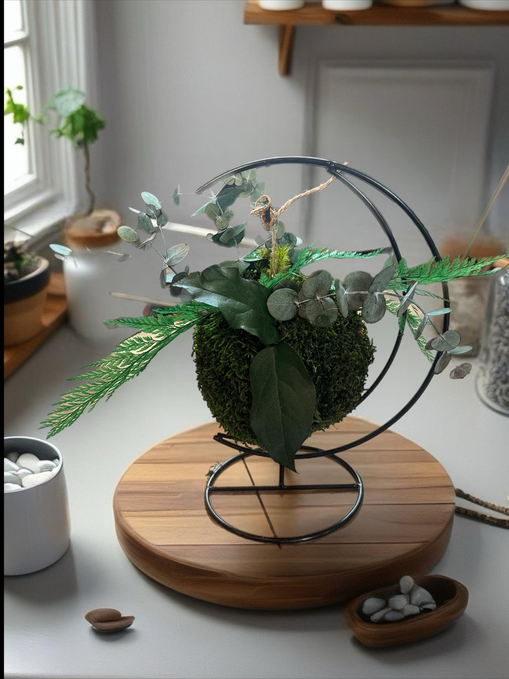 Kokedama Stabilisé Eucalyptus & Fougère – À Poser ou Suspendre | Déco Végétale Zen Sans Entretien