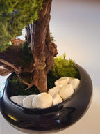 Bonsaï Stabilisé dException sur Coupe en céramique   Pièce Unique- Décoration Zen Naturelle et sans entretien