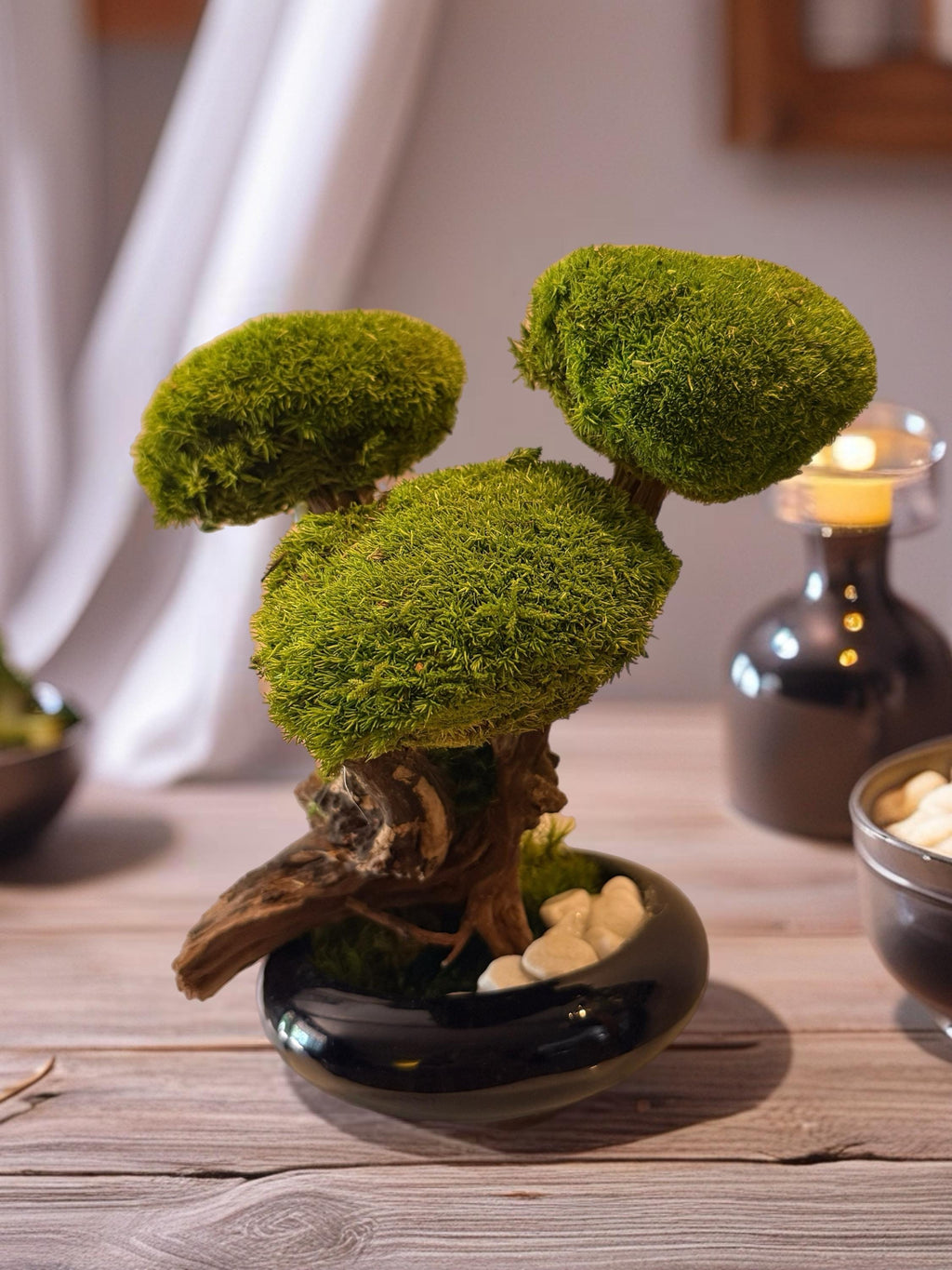 Bonsaï Stabilisé dException sur Coupe en céramique   Pièce Unique- Décoration Zen Naturelle et sans entretien